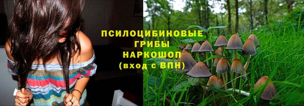 экстази Алексеевка