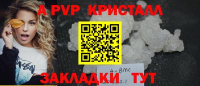 спиды Донской