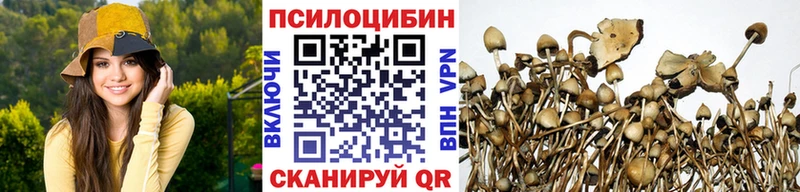 Галлюциногенные грибы GOLDEN TEACHER  Новочебоксарск 