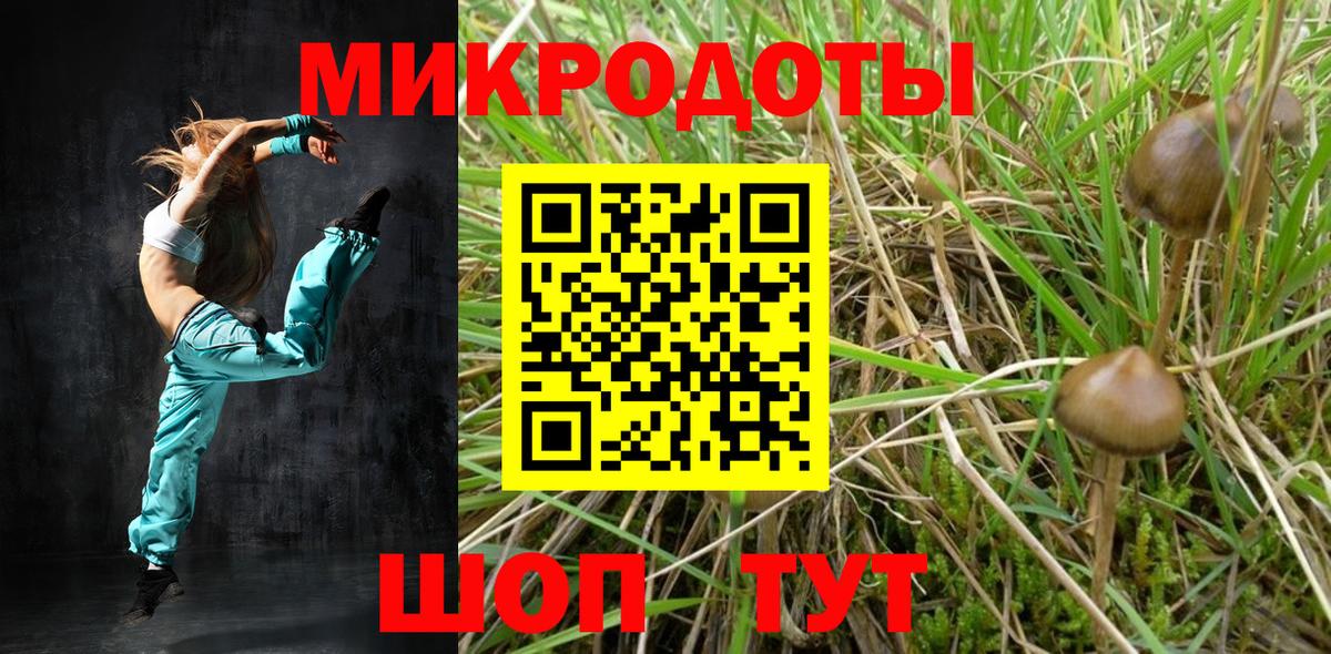 Псилоцибиновые грибы Magic Shrooms  Вход с VPN  Новочебоксарск 