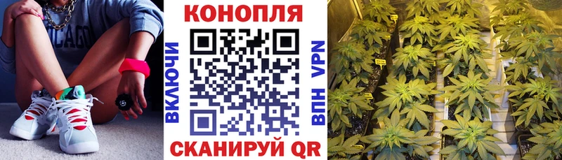 Конопля LSD WEED Новочебоксарск